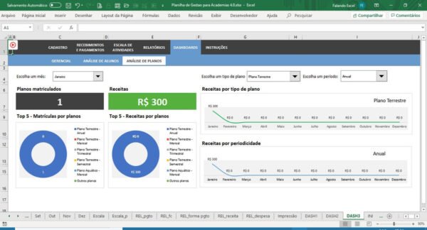 Planilha Excel Gestão de Academias - Imagem 3