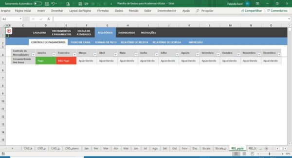 Planilha Excel Gestão de Academias - Imagem 5