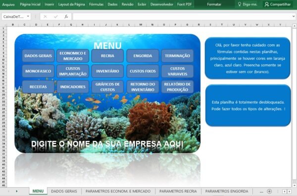 Planilha de Gestão de Custo de Produção de Peixes - Imagem 4
