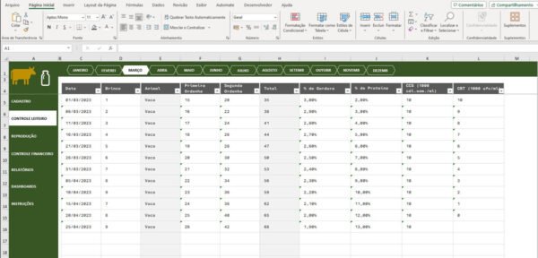 Planilha Excel Controle de Gado Leiteiro - Imagem 7