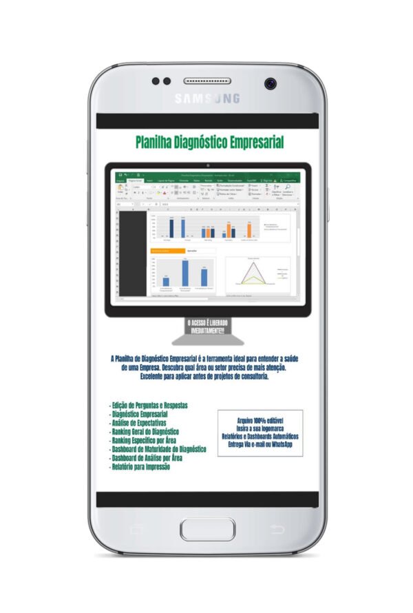 Planilha Excel Diagnóstico Empresarial - Imagem 3
